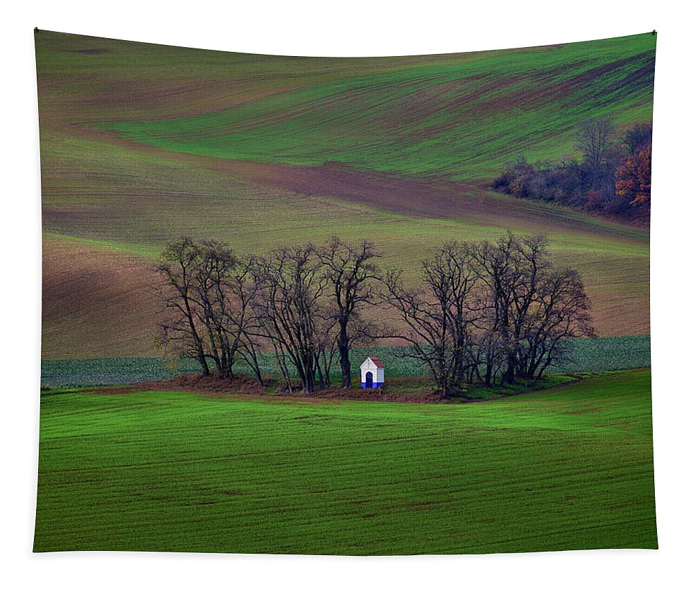 Winery Tapestry featuring the photograph Chapell in Eastern Europe by Jon Glaser