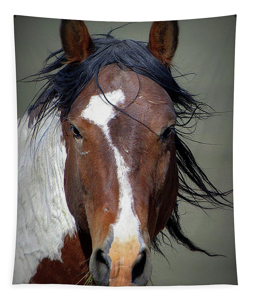 Horse Tapestry featuring the photograph Charger The Wild Onaqui by Dirk Johnson