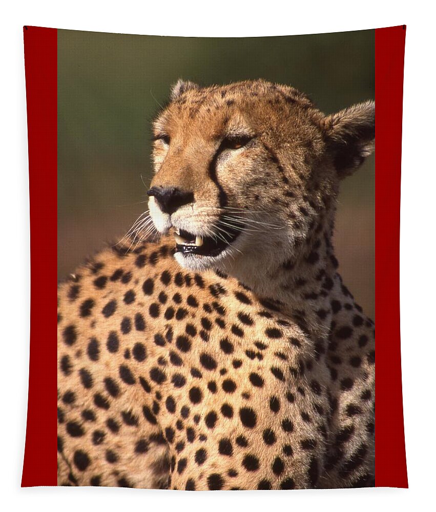 Cheetah Tapestry featuring the photograph Cheetah Profile by Russ Considine
