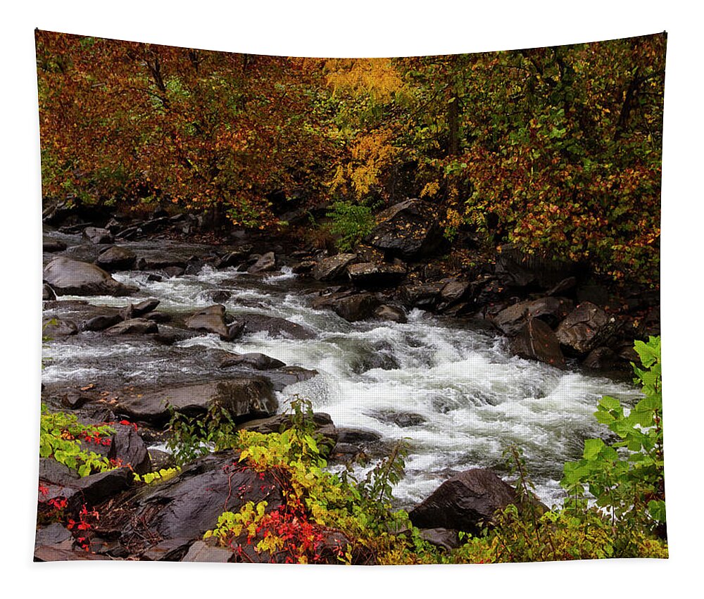 Carolina Tapestry featuring the photograph Cheoah River Cascades by Debra and Dave Vanderlaan