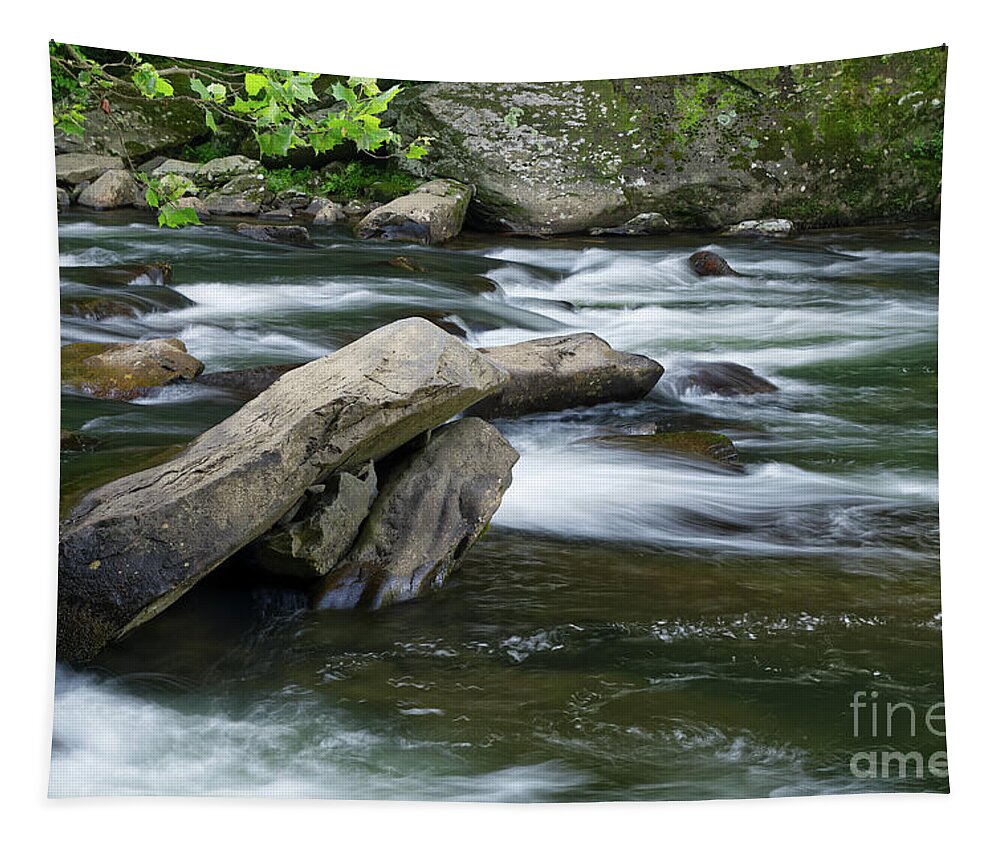 North Carolina Tapestry featuring the photograph Cheoah River Rapids by Phil Perkins