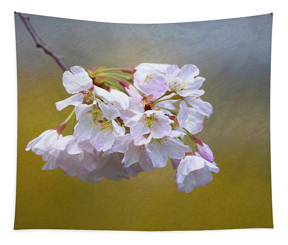 Plant Tapestry featuring the photograph Cherry Blossom Flowers by Art Cole