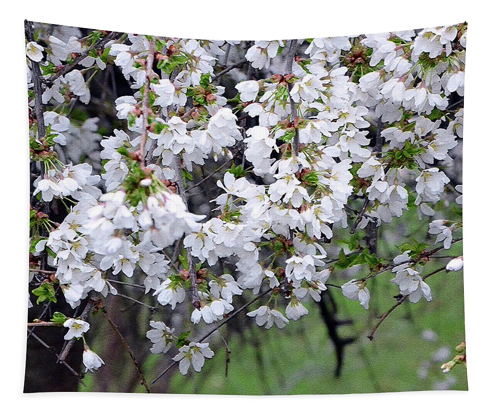  Tapestry featuring the photograph Cherry blossom 3 by Harsh Malik