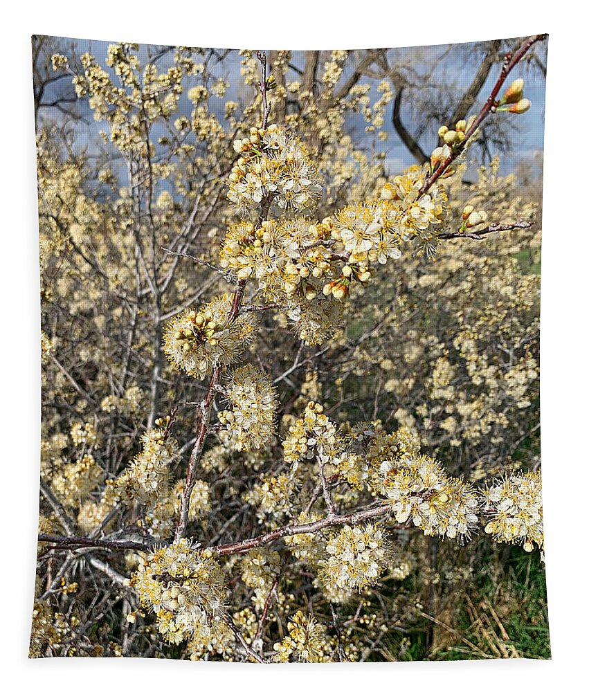 Cherry Creek Tapestry featuring the photograph Cherry Creek Trail Spring 2021 Study 4 by Robert Meyers-Lussier