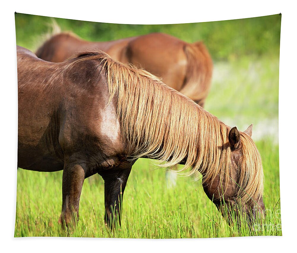 Horse Tapestry featuring the photograph Chestnut horse grazing in a meadow by Rehna George