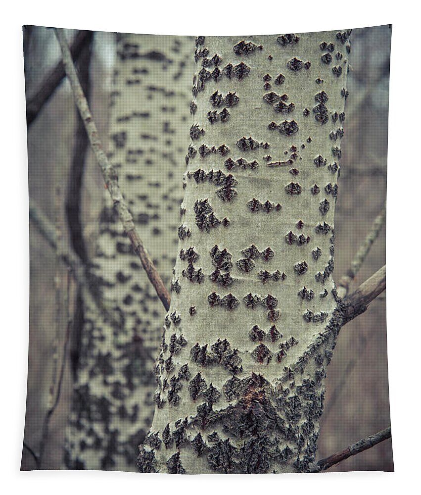 Baum Tapestry featuring the photograph Chicago Baum by Miguel Winterpacht
