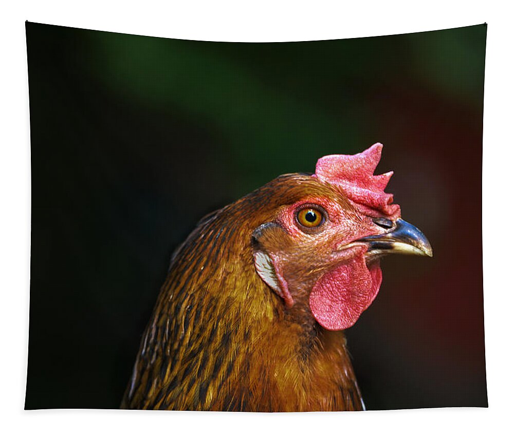 Chicken Tapestry featuring the photograph Chicken Profile by Ally White