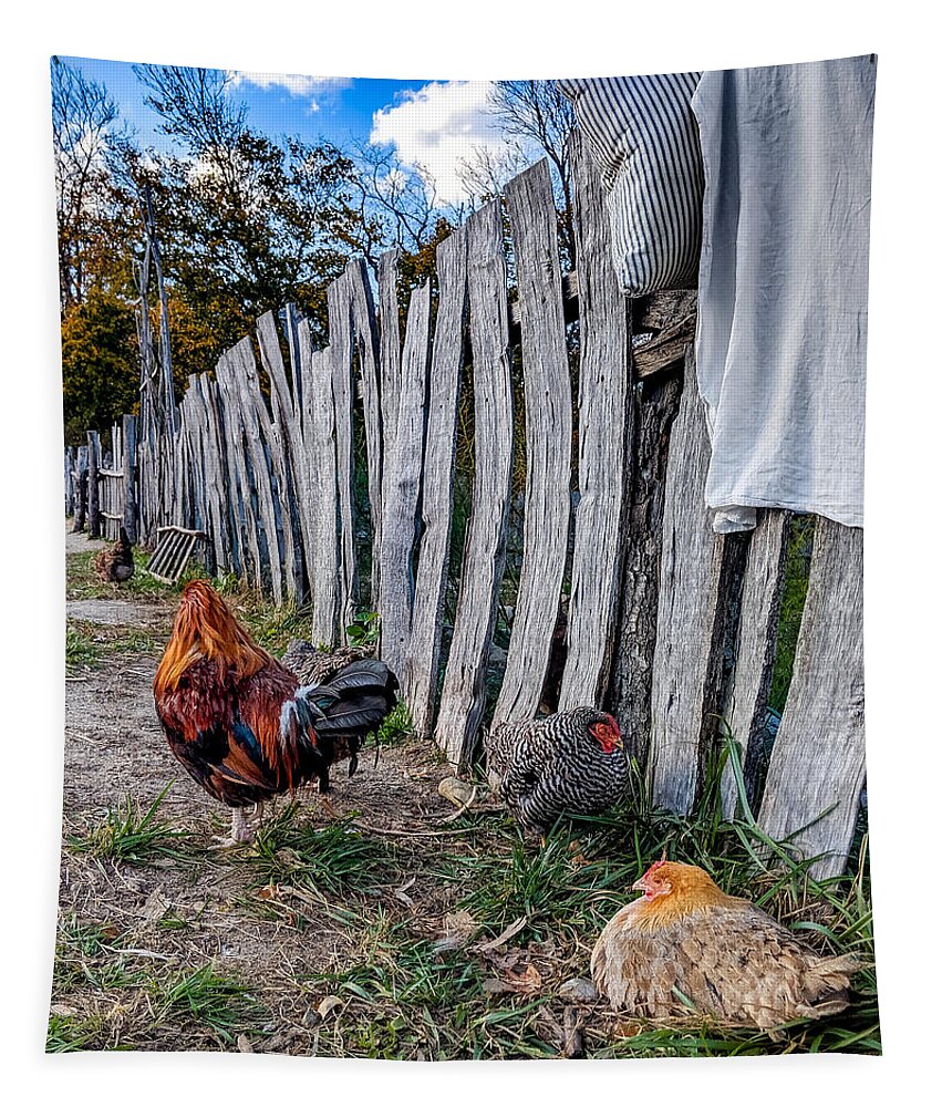 Chickens Tapestry featuring the photograph Chickens of Plymouth by Christopher Brown