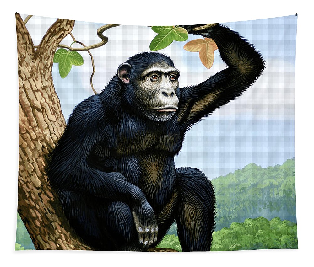Chuck Ripper Tapestry featuring the painting Chimpanzee Sitting On Tree Branch by Chuck Ripper