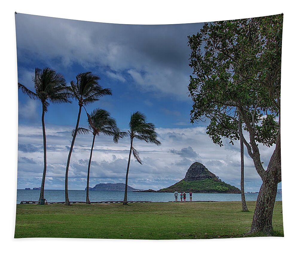 Chinaman's Hat Island Tapestry featuring the photograph Chinaman's Hat Island by Bill Roberts