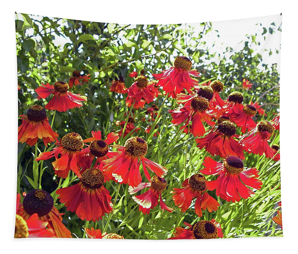 Chorley Tapestry featuring the photograph CHORLEY. Red Helenium Flowers. by Lachlan Main
