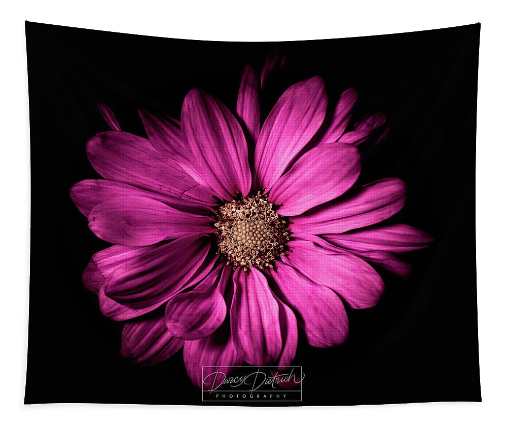 Magenta Flower Tapestry featuring the photograph Chrysanthemum by Darcy Dietrich