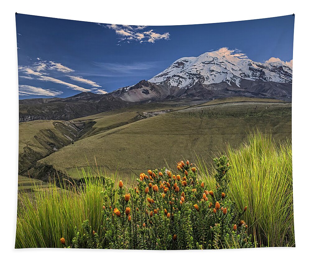 Andes Tapestry featuring the photograph Chuquirahua and Chimborazo volcano at dawn by Henri Leduc