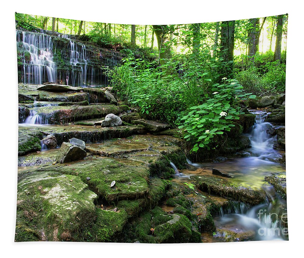 Waterfalls Tapestry featuring the photograph City Lake Falls 10 by Phil Perkins
