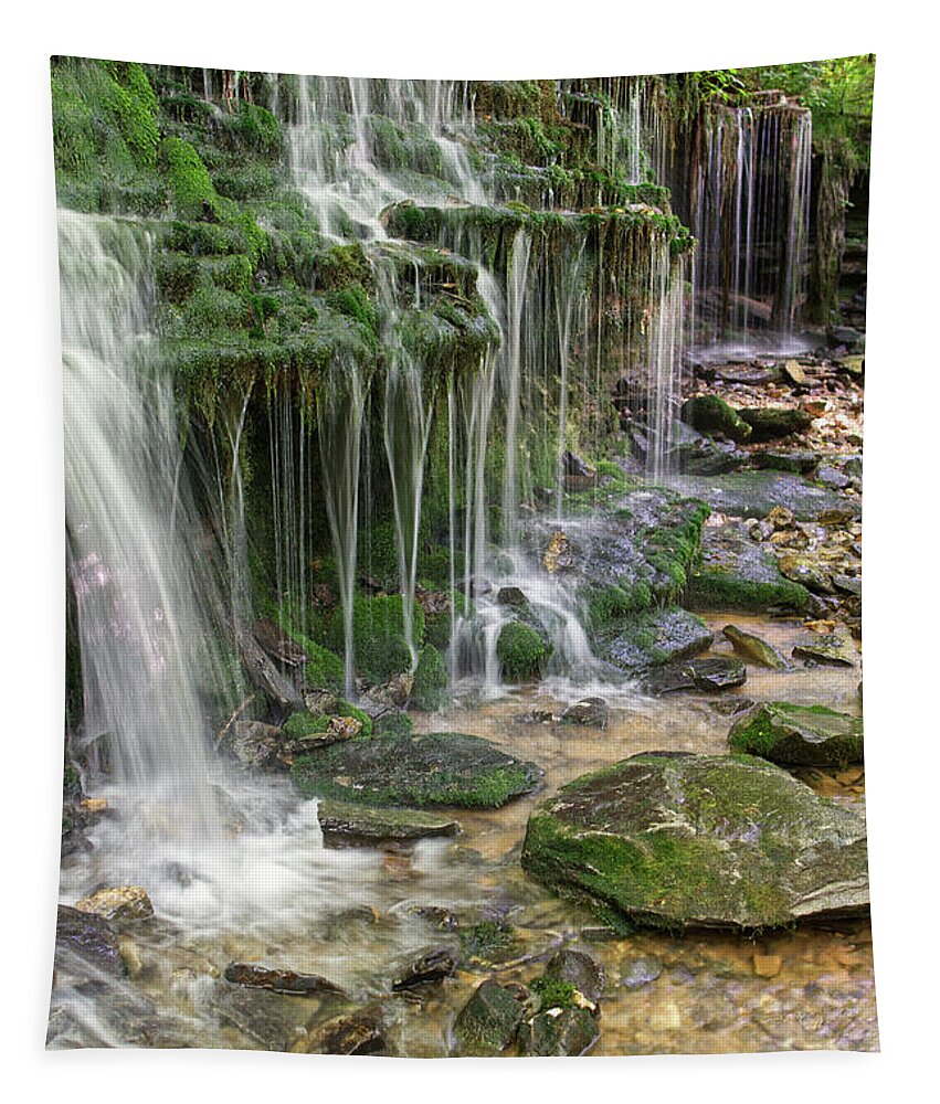 Waterfalls Tapestry featuring the photograph City Lake Falls 9 by Phil Perkins