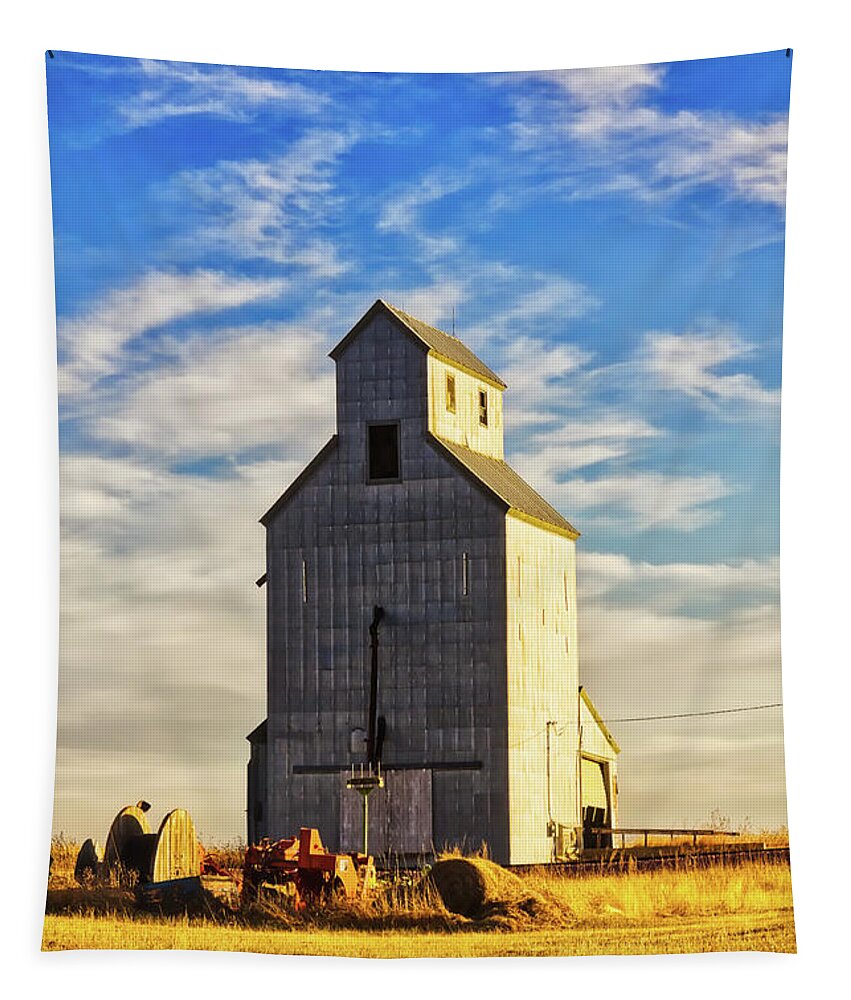 Cottonwood Tapestry featuring the photograph Classic grain elevator by Tatiana Travelways