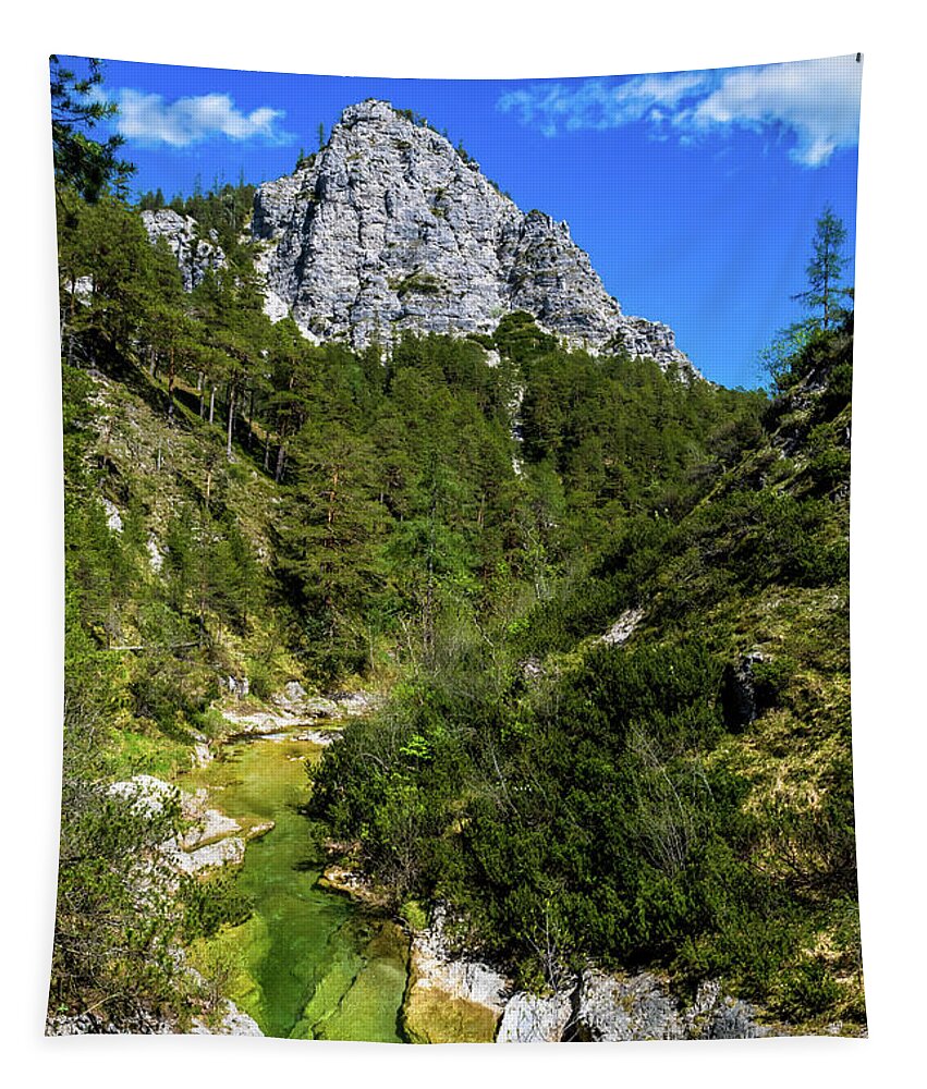 Alpine Tapestry featuring the photograph Clear And Wild Mountain River In Green Canyon In Oetschergraeben In Austria by Andreas Berthold
