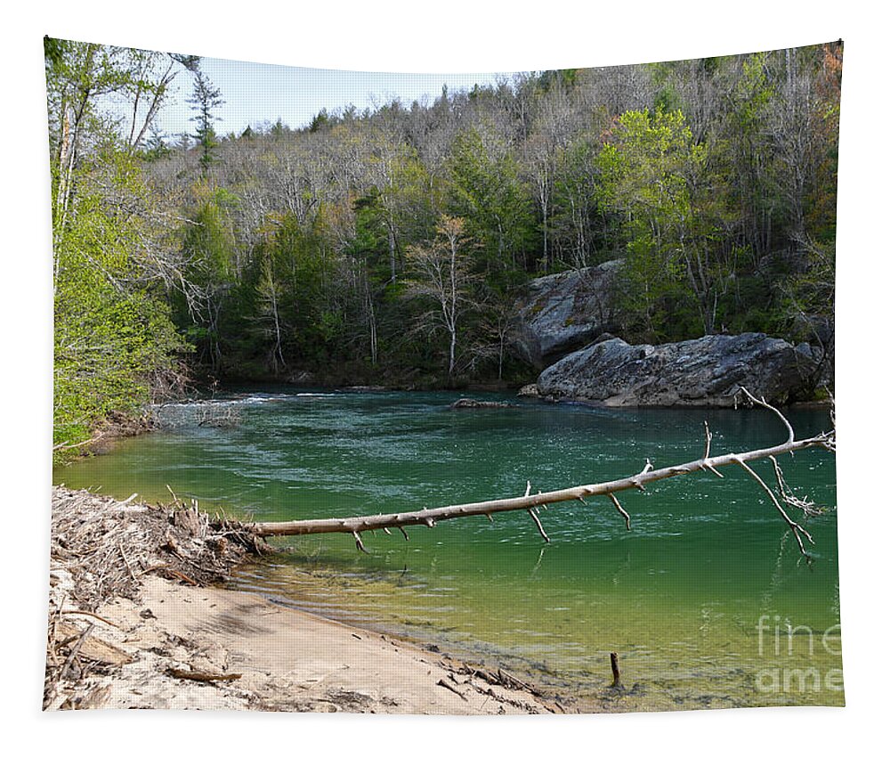 Tennessee Tapestry featuring the photograph Clear Creek At Obed 3 by Phil Perkins