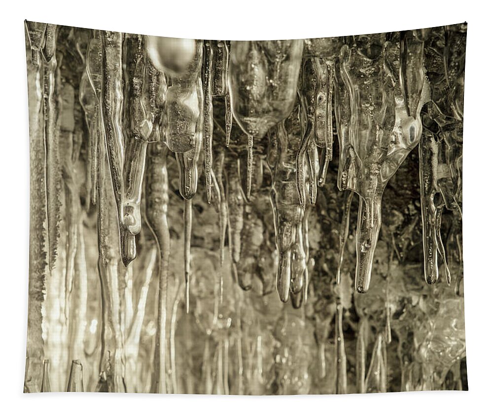 Ice Tapestry featuring the photograph Clear ice and icicles in grotto by Mikhail Kokhanchikov
