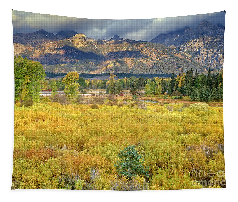 Dave Welling Tapestry featuring the photograph Clearing Storm Blacktail Ponds Grand Tetons National Park by Dave Welling