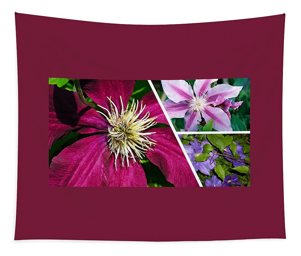 Clematis Tapestry featuring the photograph Clematis Blossoms by Nancy Ayanna Wyatt