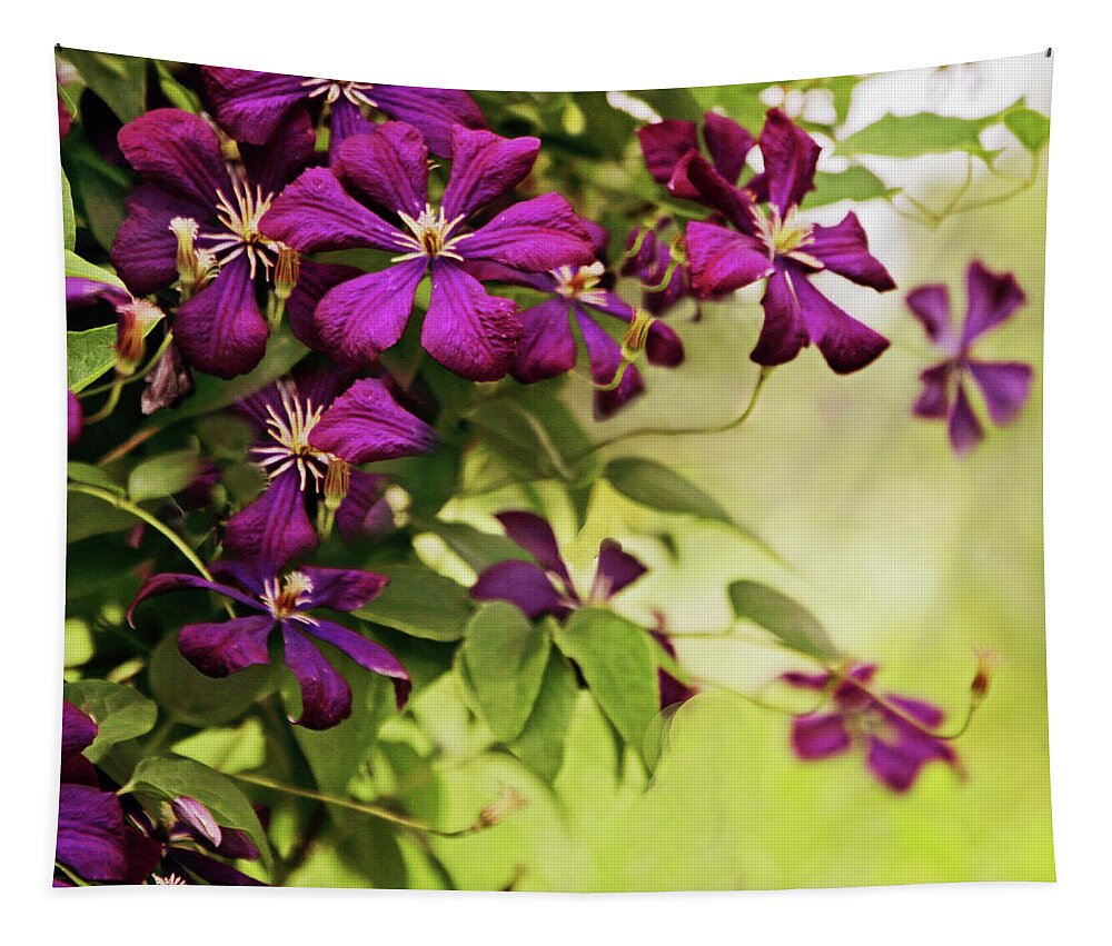 Clematis Tapestry featuring the photograph Clematis on the Vine by Jessica Jenney