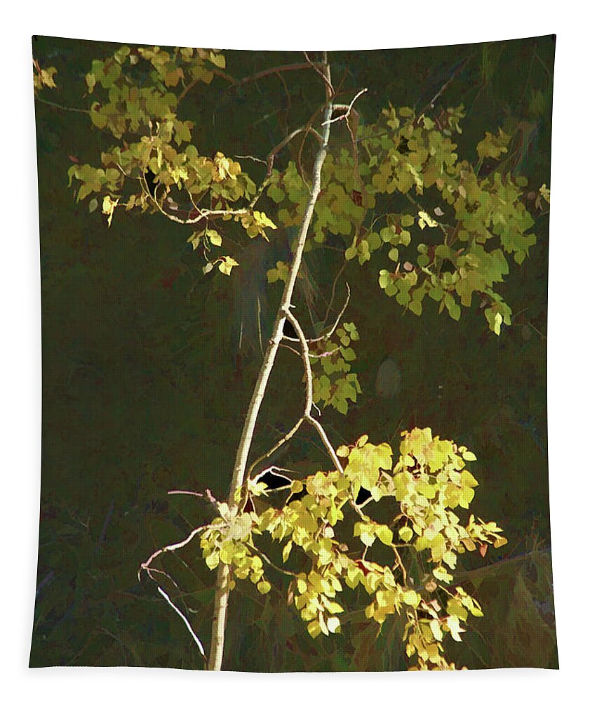 Trees Tapestry featuring the photograph Close Up Light by Roland Stanke