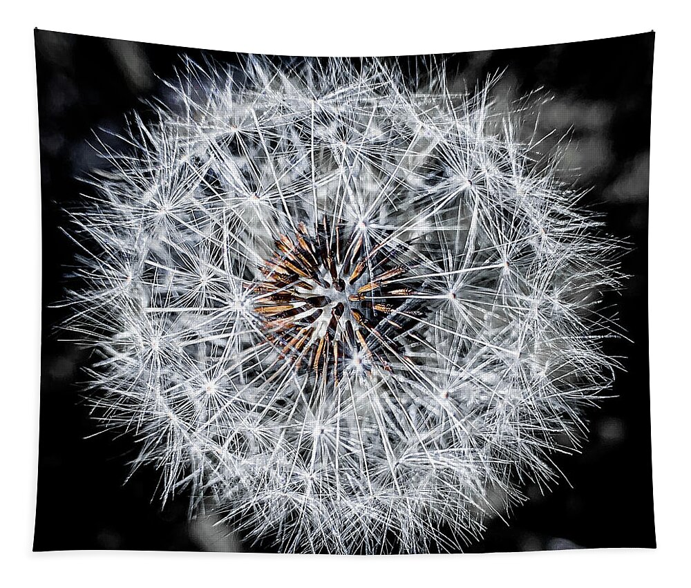 Dandelion Tapestry featuring the photograph Close up of a dandelion by Jim Feldman