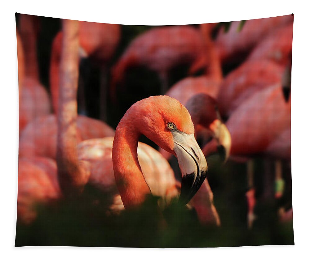 American Flamingo Tapestry featuring the photograph Head american flamingo, Phoenicopterus ruber, from bushes by Vaclav Sonnek