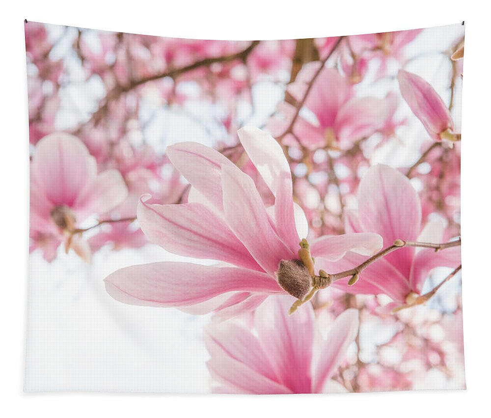Magnolia Tapestry featuring the photograph Close-up on Spring by Philippe Sainte-Laudy