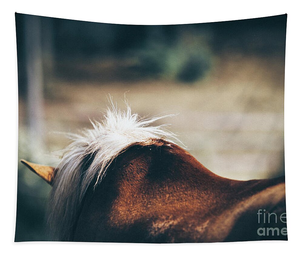 Horse Tapestry featuring the photograph Closeup horse mane by Dimitar Hristov
