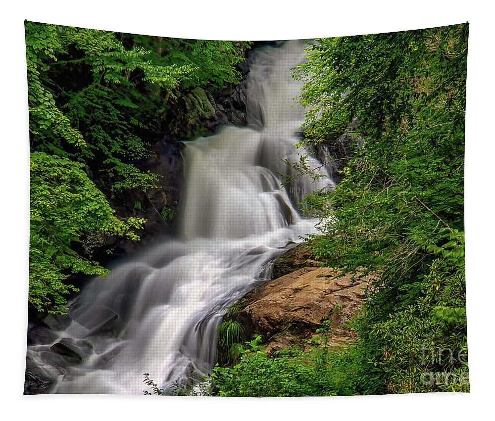 Spivey Falls Tapestry featuring the photograph Closeup of Lower Spivey Falls by Shelia Hunt