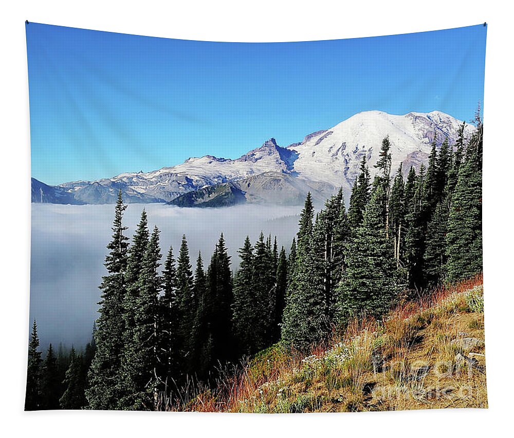 Clouds Tapestry featuring the photograph Cloud Inversion by Sylvia Cook