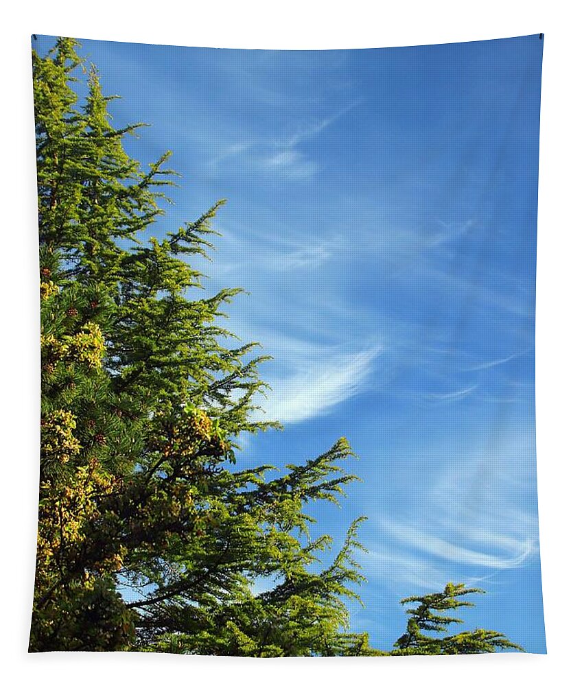 Clouds Tapestry featuring the photograph Clouds Imitating Trees by Kimberly Furey