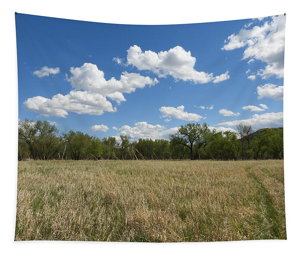 Meadow Tapestry featuring the photograph Clouds Over The Meadow by Amanda R Wright