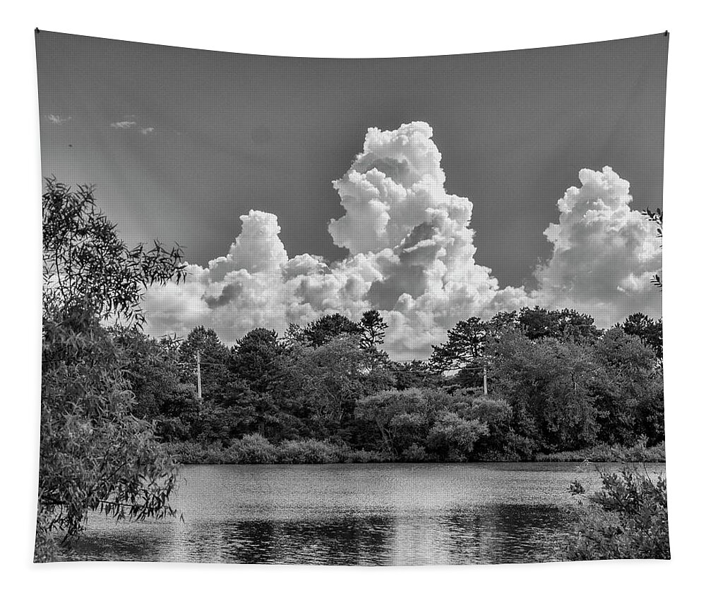 Black Tapestry featuring the photograph Clouds Over The Pond by Cathy Kovarik
