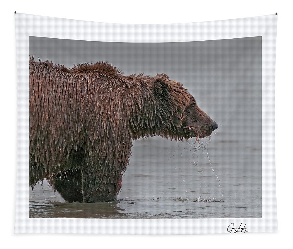 Wild Tapestry featuring the photograph Coastal Brown Bear by Gary Langley