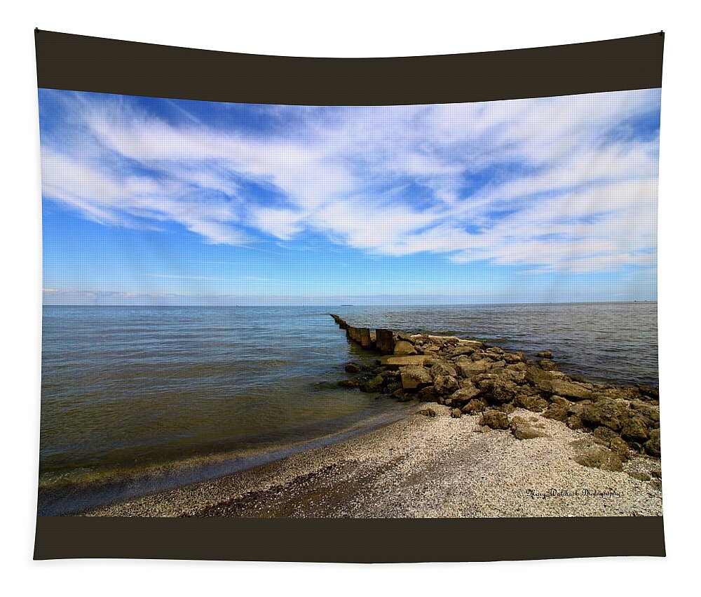 Lake Erie Tapestry featuring the photograph Coastal Ohio Series 1 by Mary Walchuck
