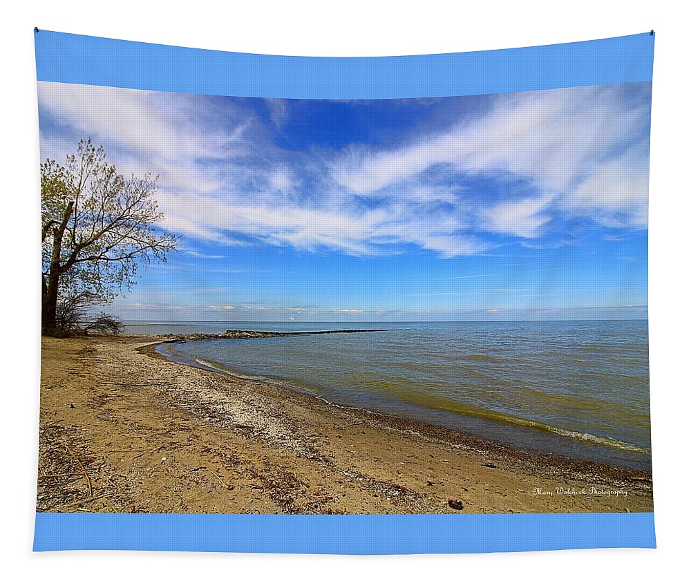 Lake Erie Tapestry featuring the photograph Coastal Ohio Series 2 by Mary Walchuck
