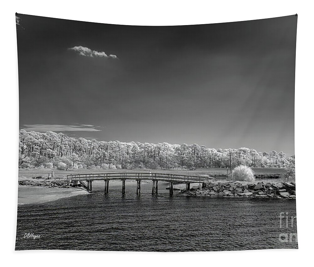 Coastal Tapestry featuring the photograph Coastal Wonderland by DB Hayes