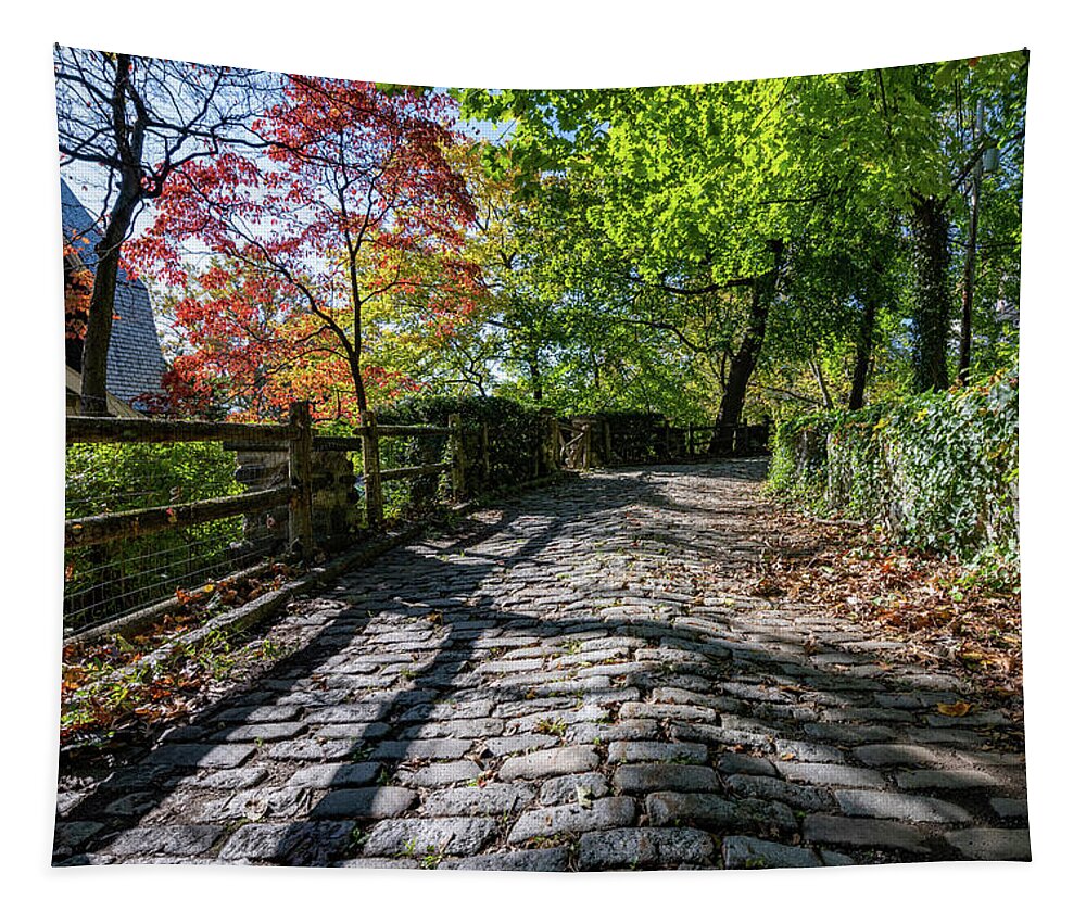 Autumn Tapestry featuring the photograph Cobblestones in Autumn by Kevin Suttlehan