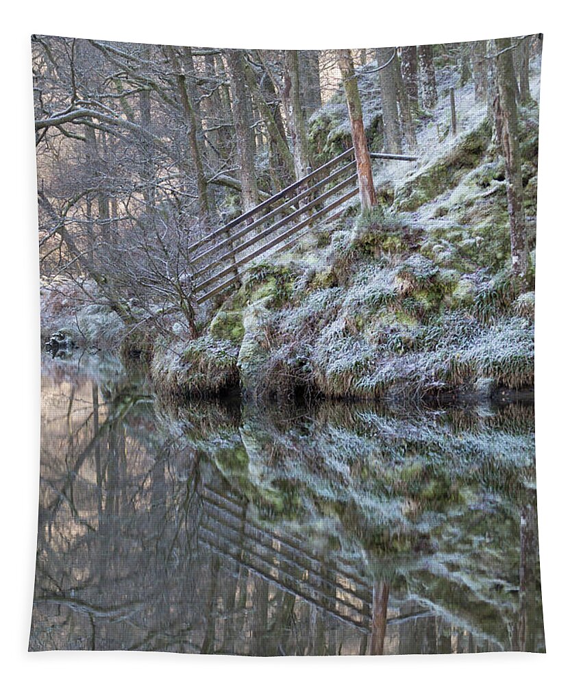Cold Tapestry featuring the photograph Cold Reflections by Anita Nicholson