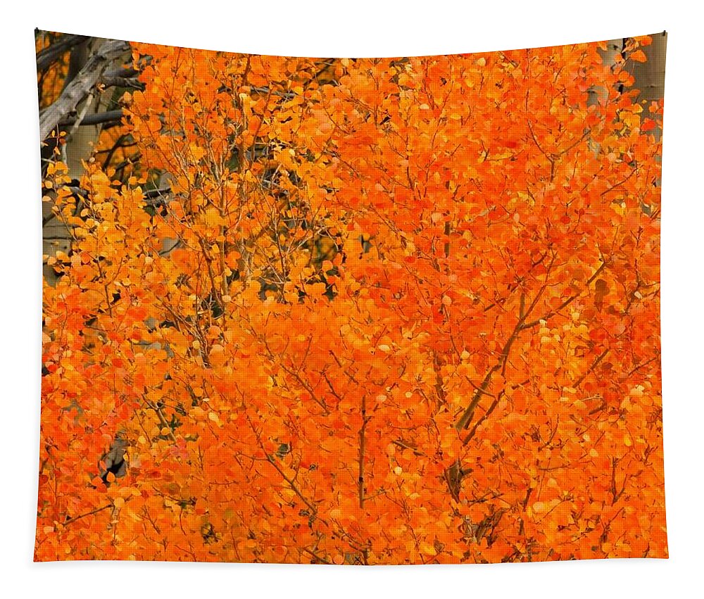 Autumn Tapestry featuring the photograph Collapse of Summer 2021 by Carl Moore