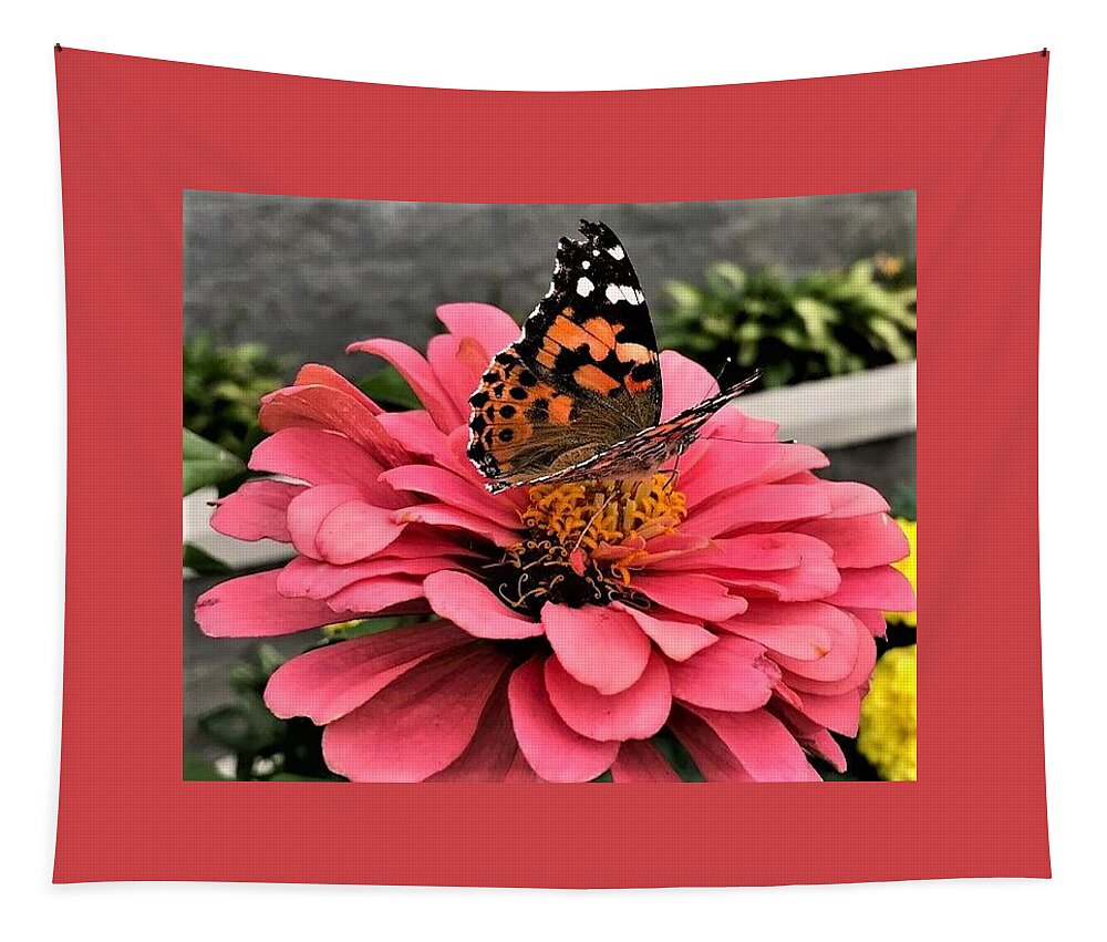 Butterfly. Zinnia. Flower Tapestry featuring the photograph Collecting Nectar by Bruce Bley