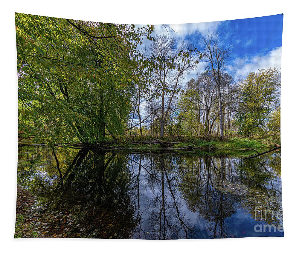 Autumn Tapestry featuring the photograph Collins Creek 3 by Roger Monahan