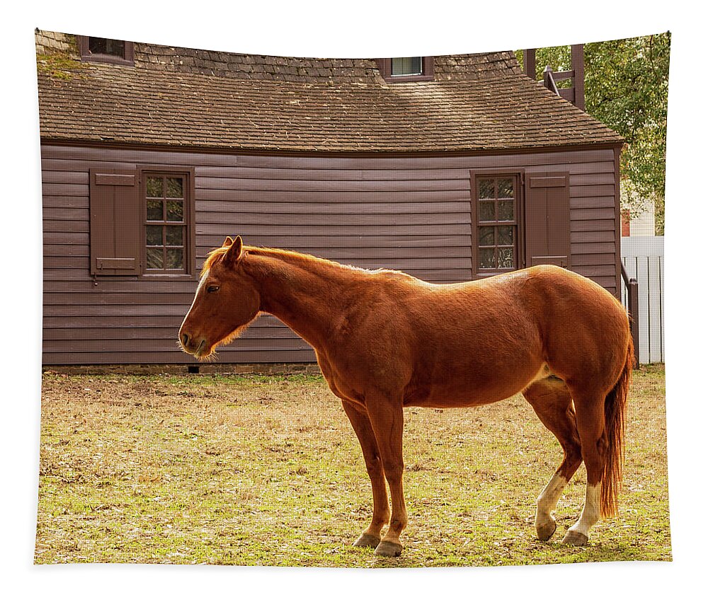 Horse Tapestry featuring the photograph Colonial Chestnut by Rachel Morrison