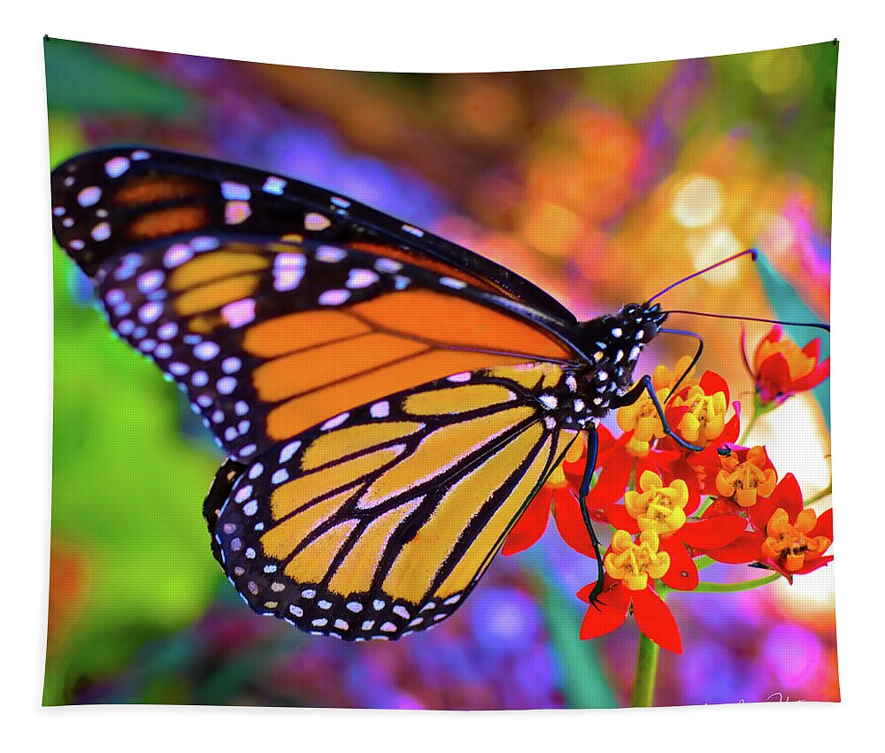 Butterfly Tapestry featuring the photograph Color Of Nature by Alison Belsan Horton