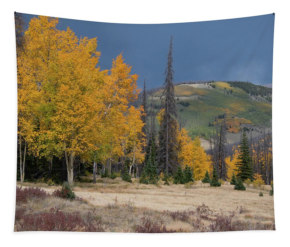 Colorado Tapestry featuring the photograph Colorado Autumn Rain Shower Landscape by Cascade Colors