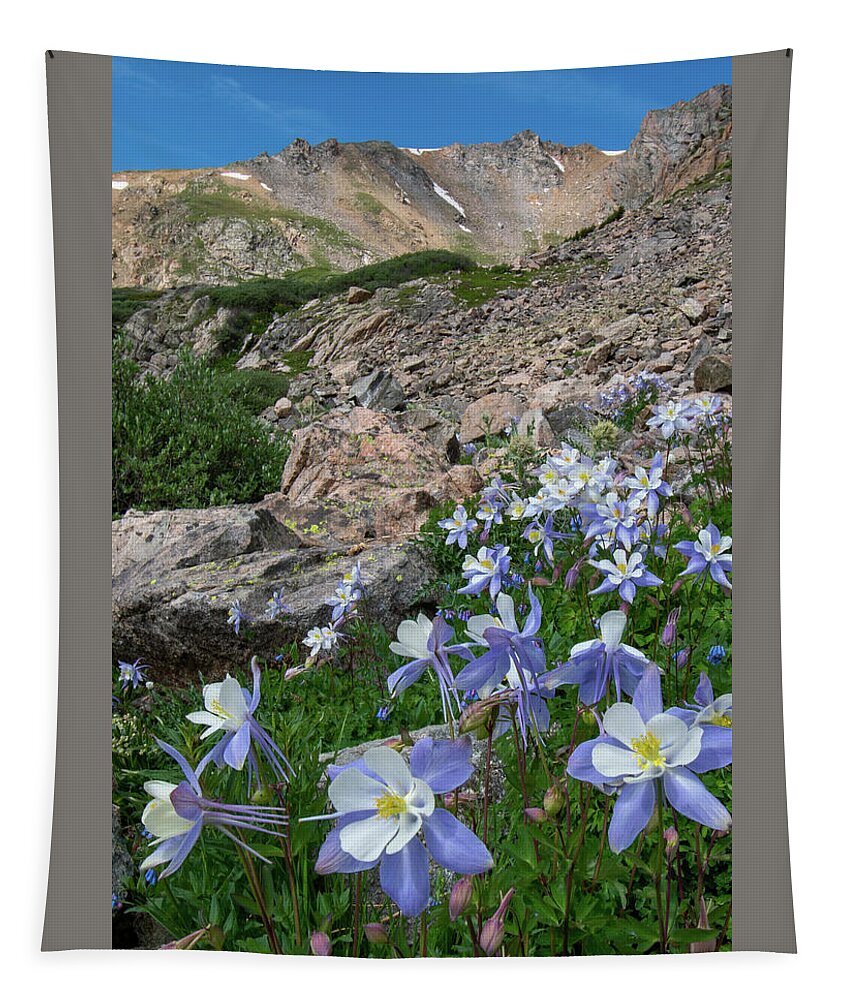 Colorado Tapestry featuring the photograph Colorado Columbine in the Alpine by Cascade Colors