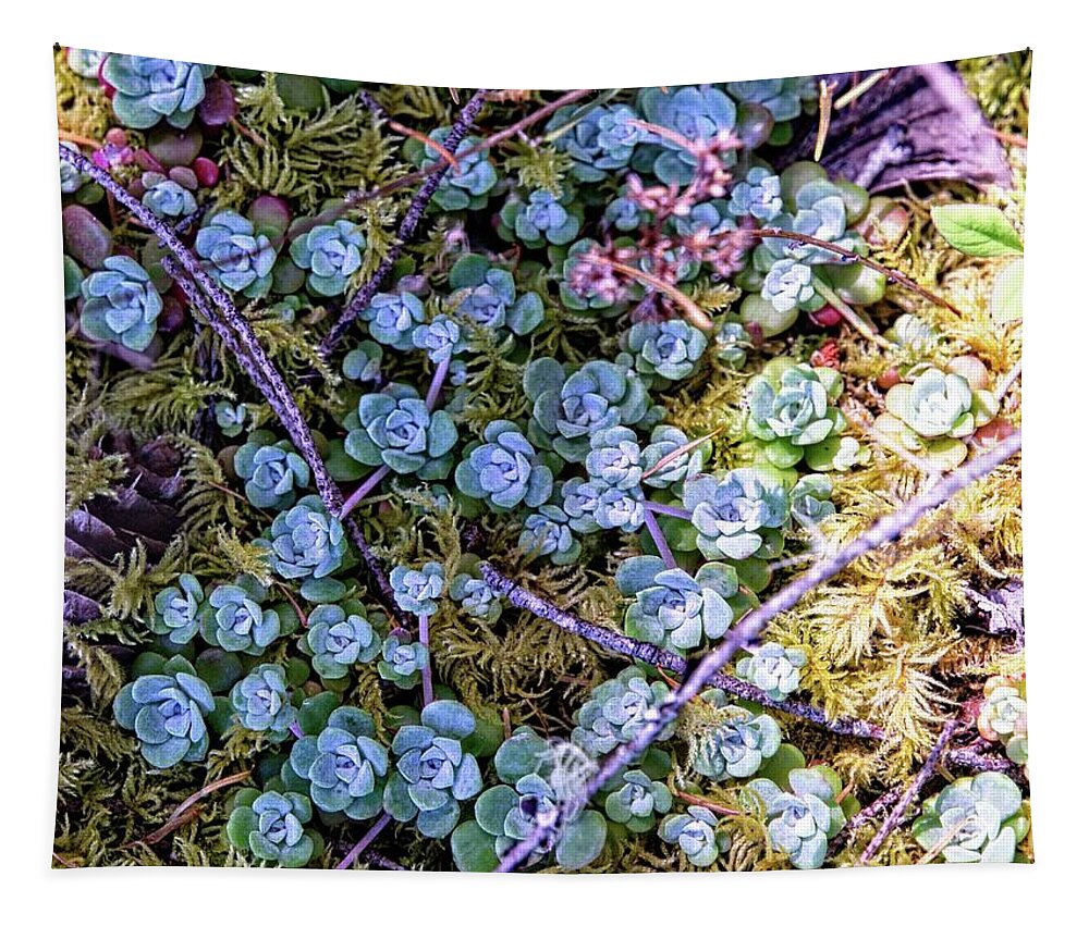 Background Tapestry featuring the photograph Colorful Forest Floor by David Desautel